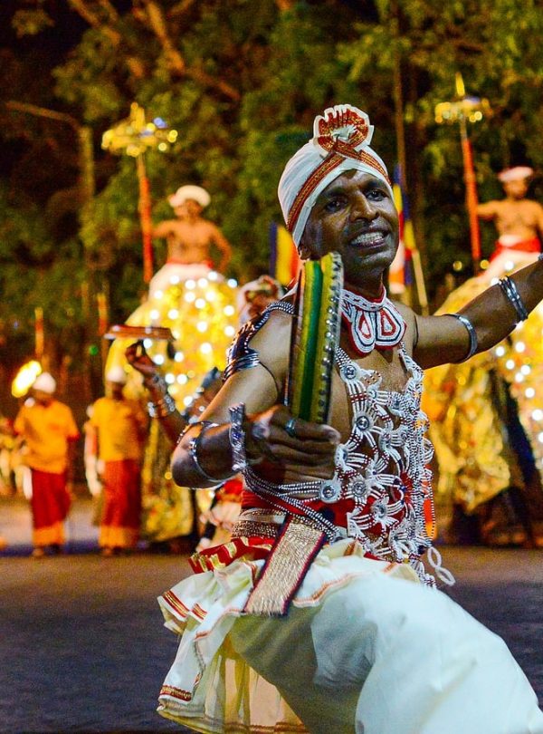 dancer, elephant, culture, procession, drum, traditional, illuminated, event, night, white, golden, dance, colorful, parade, sri lankan, traditional attire, festival, perahera, nature
