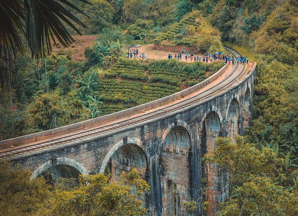 nine arch bridge, railroad, bridge, arches, architecture, structure, tea plantation, tea farm, people, trees, vegetation, lush, greenery, railway, train tracks, tracks, railway system, ella sri lanka, ella, sri lanka, nature, travel, nine arch, ella, ella, ella, ella, sri lanka, sri lanka, sri lanka, sri lanka, sri lanka